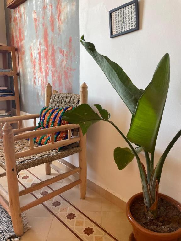 Bed and Breakfast Surf Camp Essaouira Exterior foto